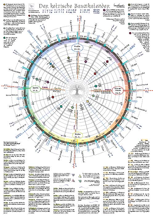 baumkalender